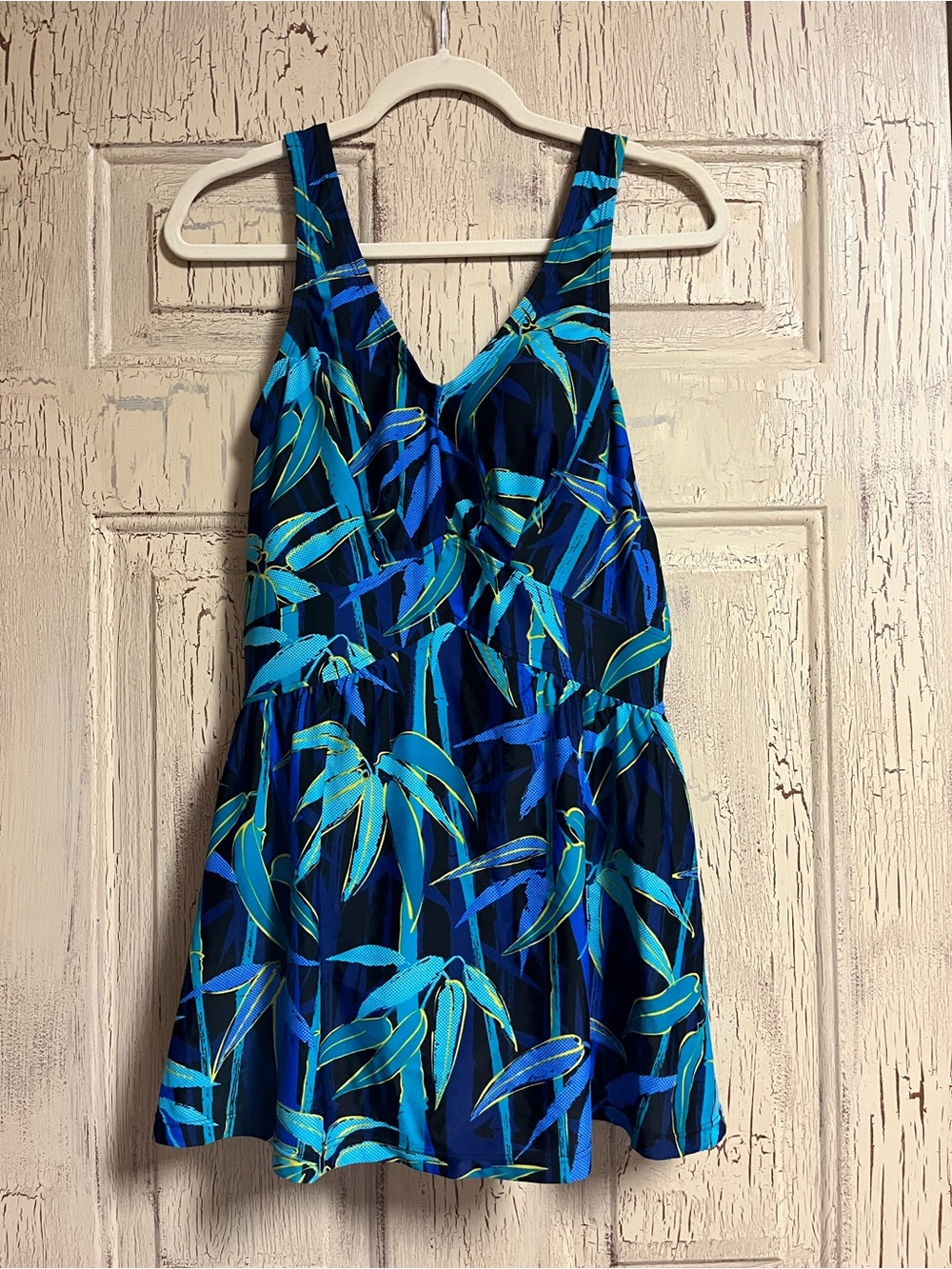 Maxine of Hollywood Swim dress